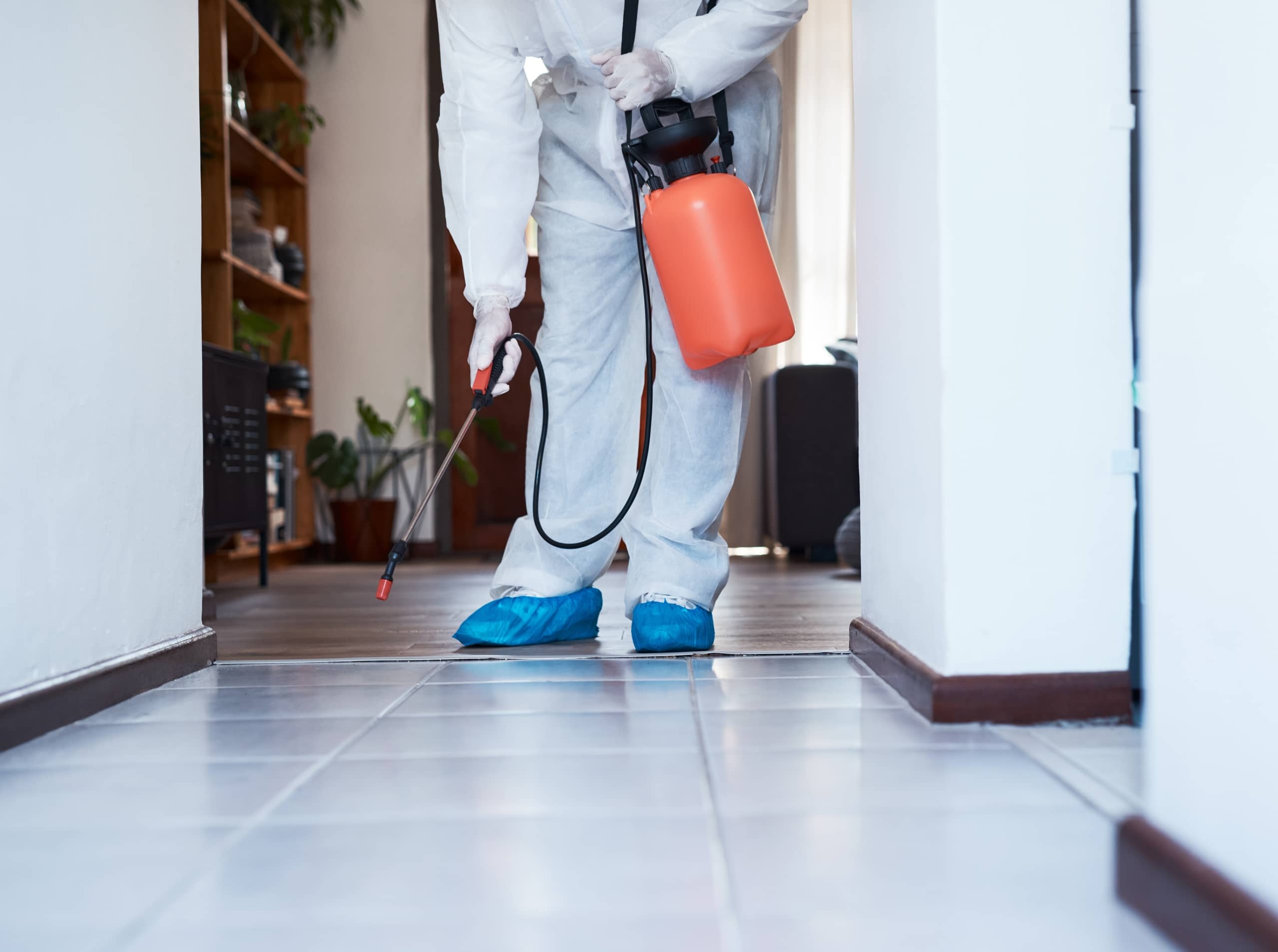 death cleanup - decon901 memphis